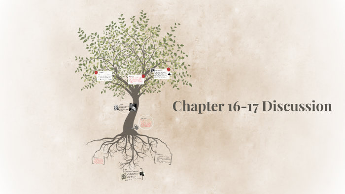 chapter 16 17