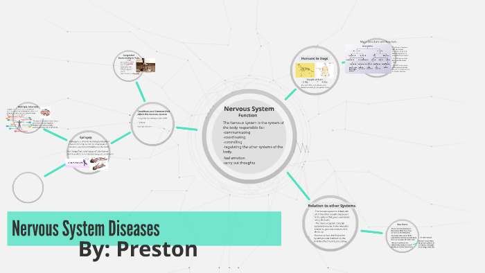 Preston Howe Nervous System by Preston Howe on Prezi
