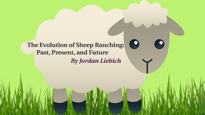 The Evolution of Sheep Ranching by Jordan Liebich on Prezi