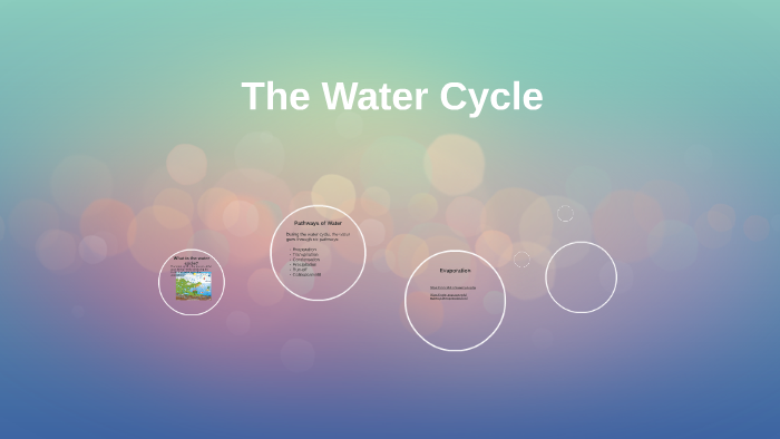 The Water Cycle by Alyssa Williams on Prezi