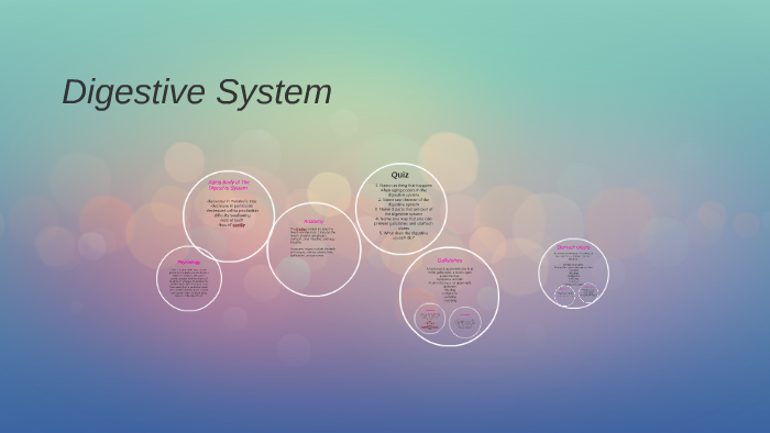 Digestive System by becky garcia on Prezi