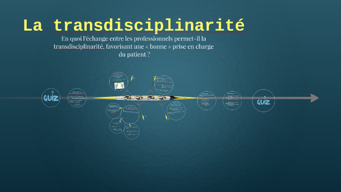 La transdisciplinarit by Louise BOQUIEN on Prezi