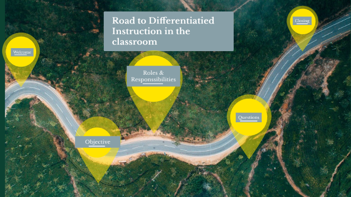 Differentiated Instruction by L John on Prezi