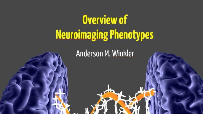 Overview of Neuroimaging Phenotypes by Anderson Winkler