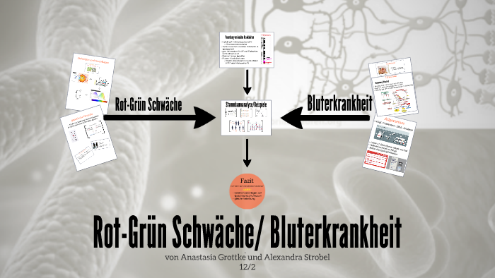 Rot-Grün Schwäche/ Bluterkrankheit By Anastasia Grottke On Prezi