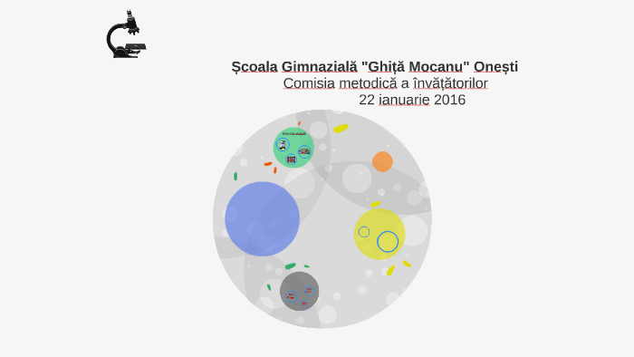 Educaţia Globală Toleranţă Responsabilitate Si Respect By
