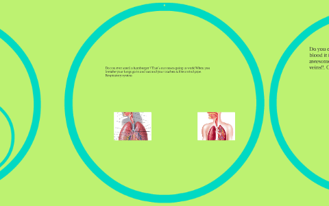 human body poem by abby bright on Prezi