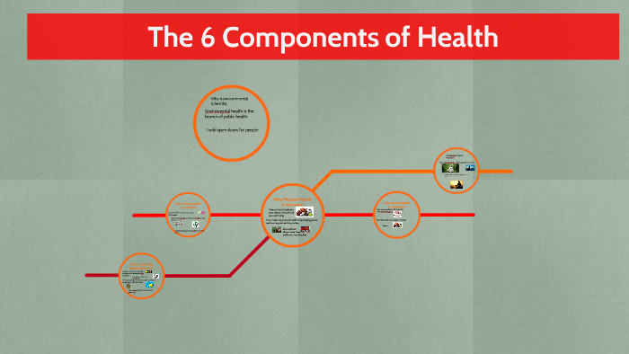 the-6-components-of-health-by-luke-wildman