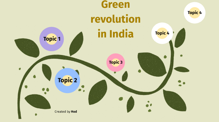 green-revolution-in-india-by-hoda-halimi