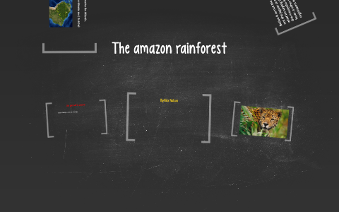 The amazon rainforest by なぎさ on Prezi