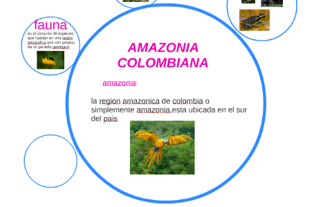 AMAZONIA COLOMBIANA by selena Chaverrar Molano on Prezi