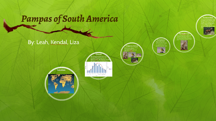 Pampas in South America by Liza Montgomery on Prezi