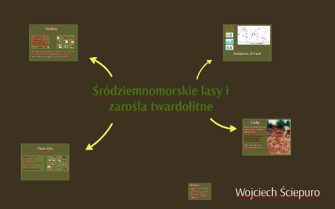 Lasy I Zaro la Twardolitne By Wojtek S On Prezi