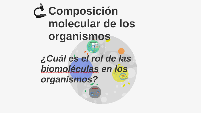 Composición Molecular De Los Organismos By Iris España