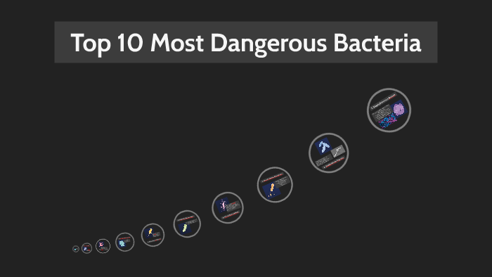 Top 10 Most Dangerous Bacteria By Rachel Mueller On Prezi