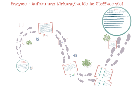 Enzyme - Aufbau und Wirkungsweise im Stoffwechsel by Marina Hoyer on Prezi