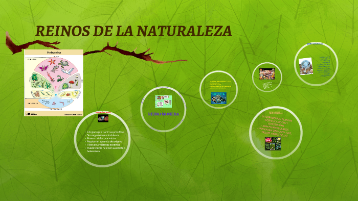 REINOS DE LA NATURALEZA by Jorgelina Montesi on Prezi