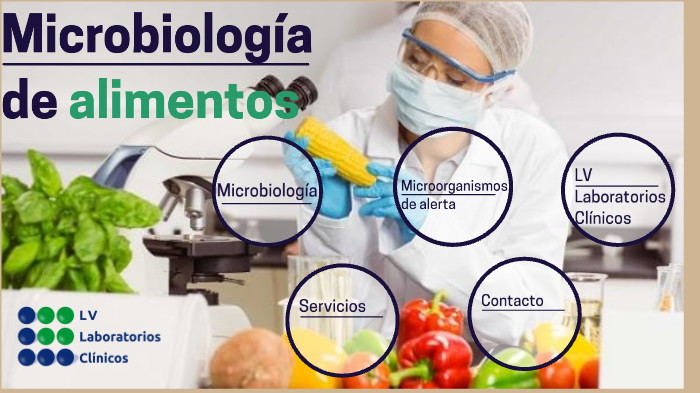 Microbiologia De Los Alimentos