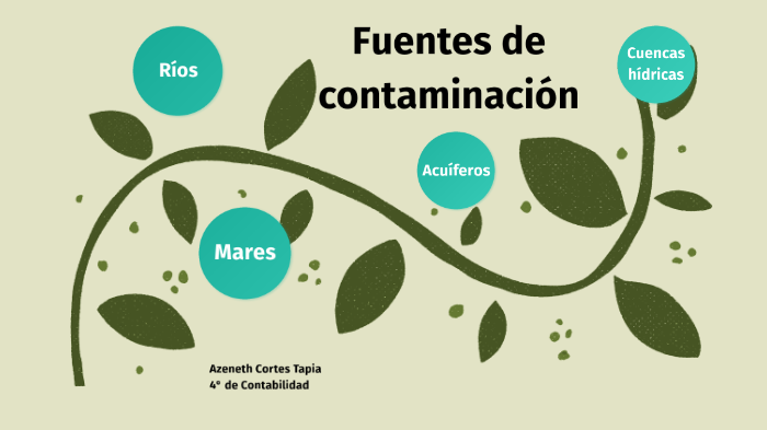 Fuentes De Contaminacion De Los Diferentes Cuerpos De Agua Rios Cuencas Hidrologicas 