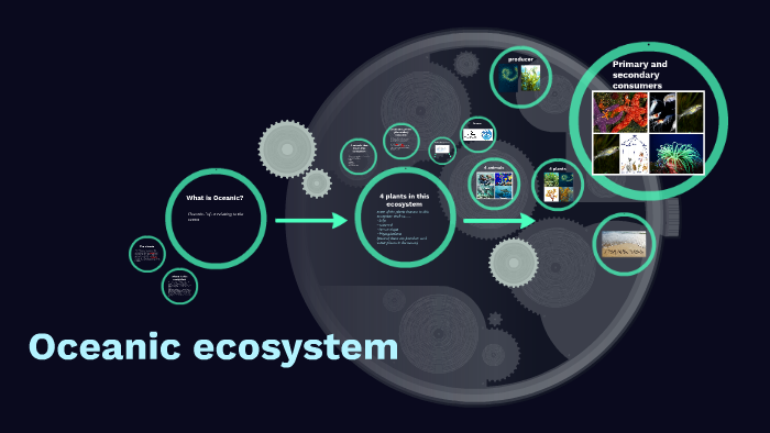 Oceanic ecosystem by Arizona Kelly