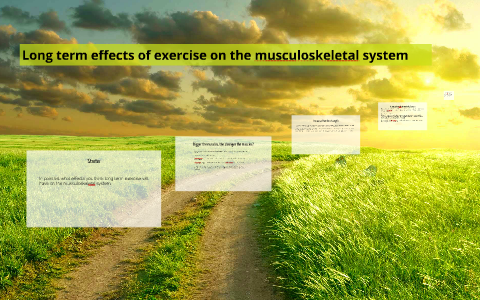 Long term effects of exercise on the musculoskeletal system by josh ...