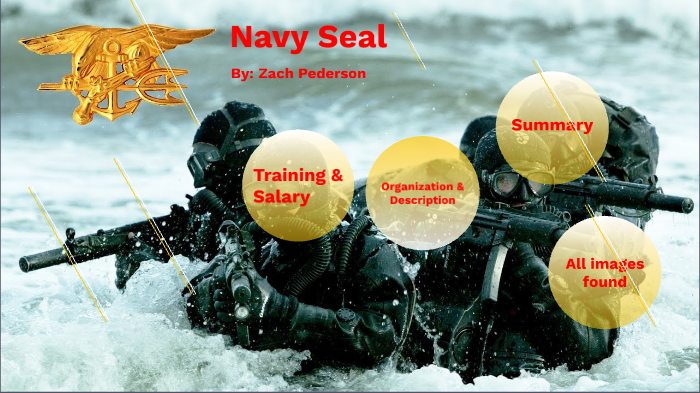 Zach Pederson Navy Seal by Zach Pederson