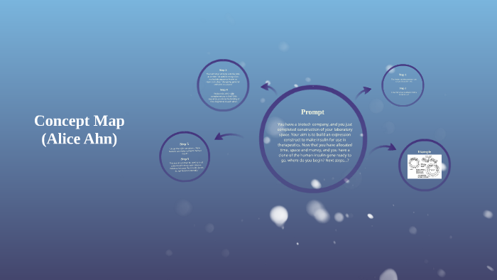 Concept Map by Alice Ahn on Prezi