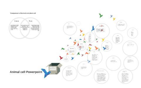 Animal cell Powerpoint by trevaun smith on Prezi