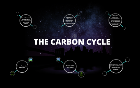 THE CARBON CYCLE by sabrina kay on Prezi