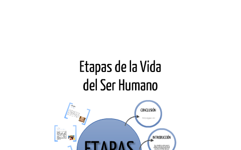 Etapas de la Vida by Katherine Calderón on Prezi