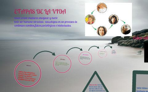 etapas de la vida by karen melissa acosta on Prezi
