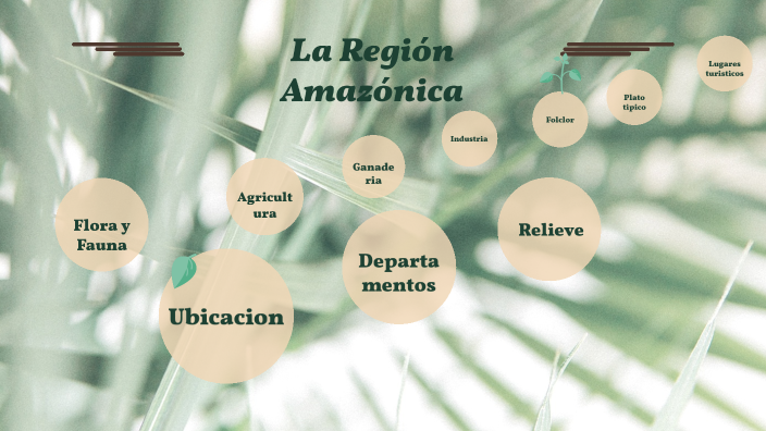 LA REGION AMAZONICA by Isabela Bernal on Prezi