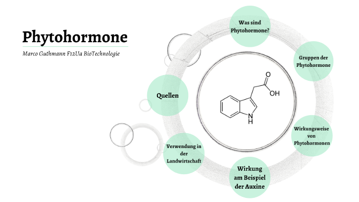 Phytohormone by Marco Guthmann