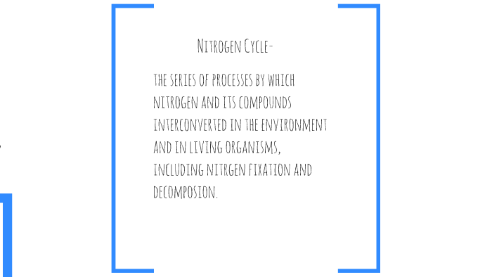 The Nitrogen Cycle by Hannah doe on Prezi