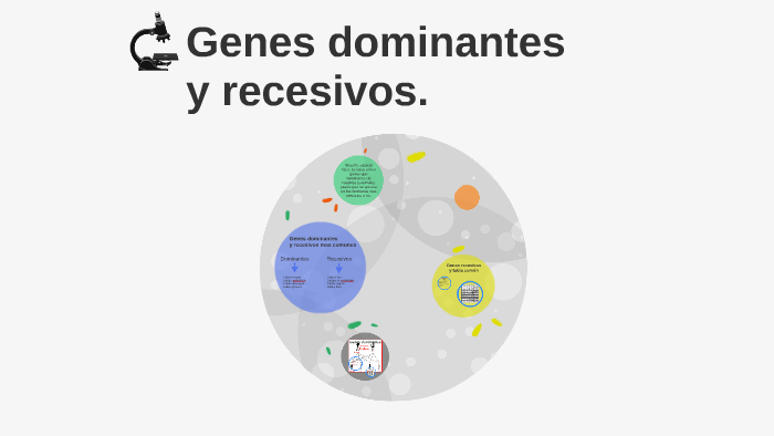 genes dominantes y recesivos