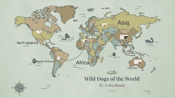 all dogs in the world chart