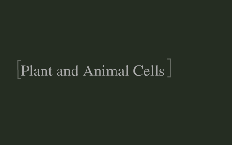Plant and Animal Cells by Amanda Schultz on Prezi