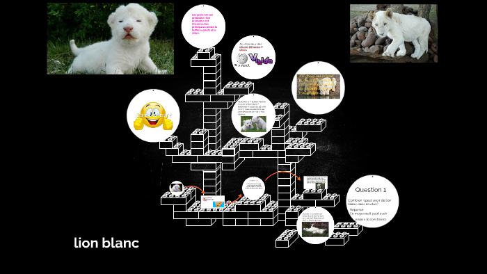 Lion Blanc By Alexis Charlebois On Prezi