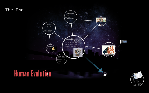 Human Evolution by Annemarie Manley on Prezi