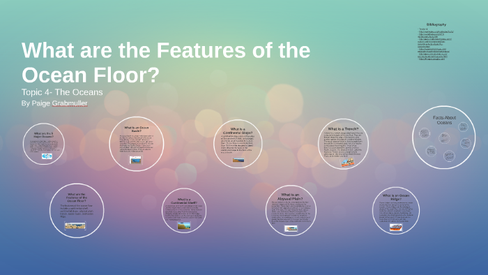 What Are The Features Of The Ocean Floor By Paige Grabmuller On Prezi