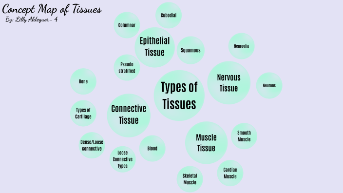 Tissue Integrity Concept Map   Zzn5nv4jwarldtiwgaswrqfspl6jc3sachvcdoaizecfr3dnitcq 3 0 