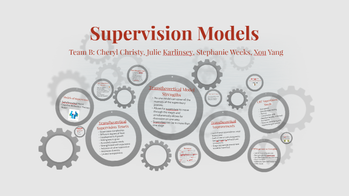 phd supervision models