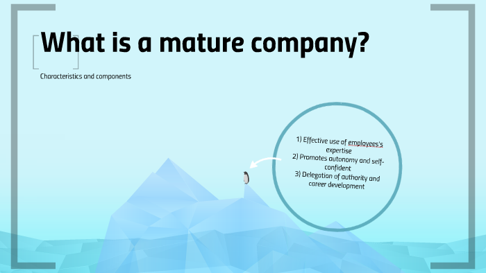 what-is-a-mature-company-by-maria-jose-mendez