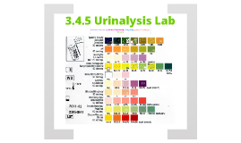 3 4 5 urinalysis case study 4