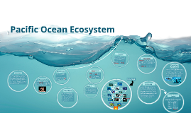 Pacific Ocean Ecosystem by Ethan gardiner on Prezi