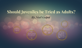 should teens be tried as adults should teens be tried as adults