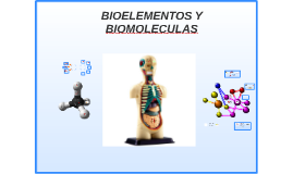 Resultado de imagen para bioelementos y biomoleculas