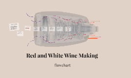 Red wine making flowchart by on Prezi