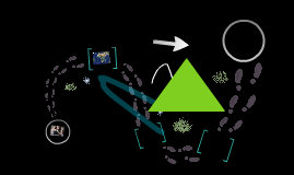 Consciência Negra Consciência Negra