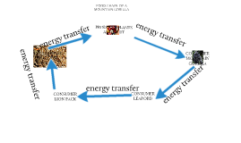 food chain of a mountain gorilla by justin griesemer on Prezi